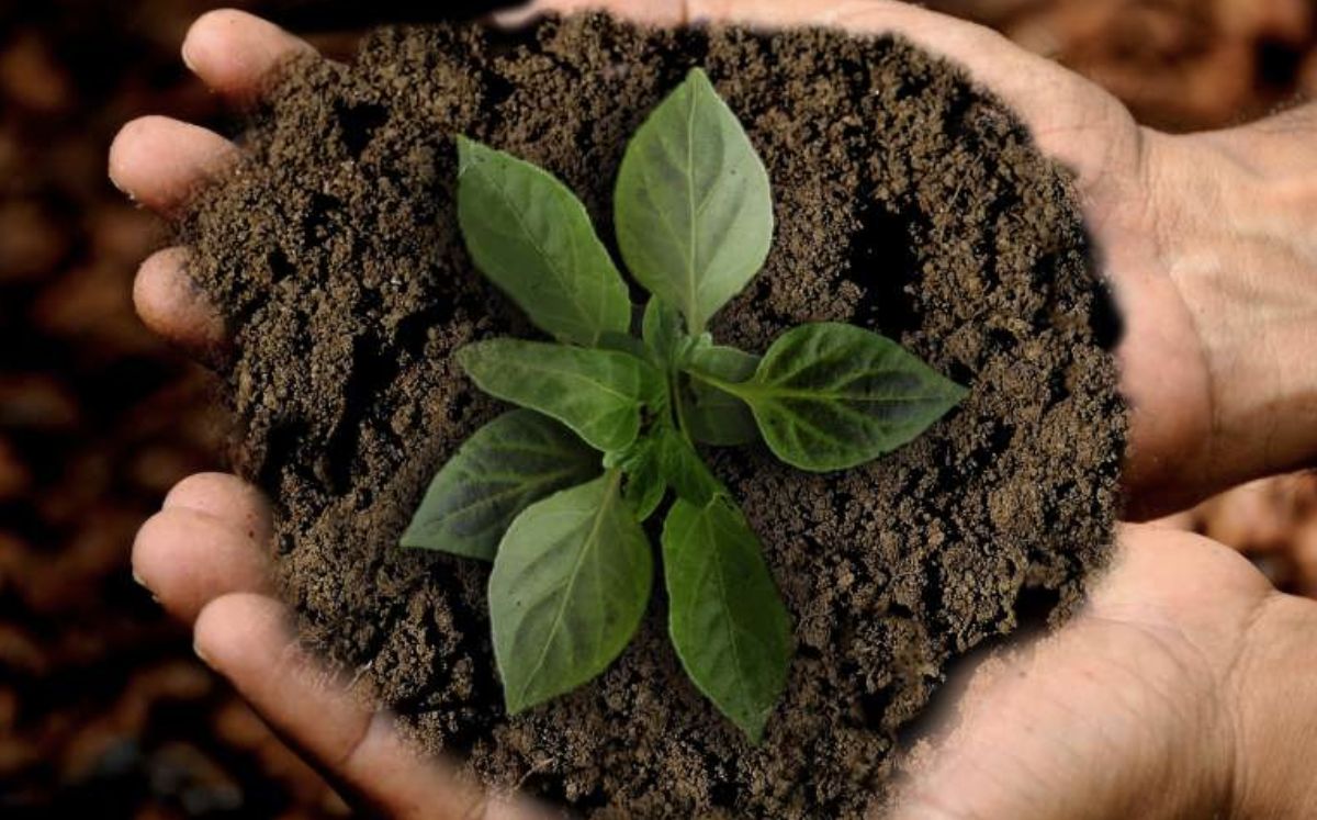 Gobierno destina poco presupuesto para la biodiversidad