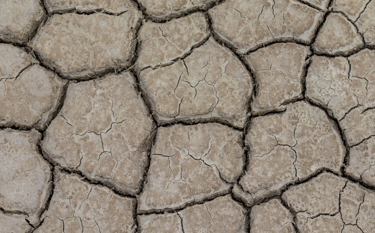 Falta de lluvias pone a 51 municipios de Nuevo León en sequía