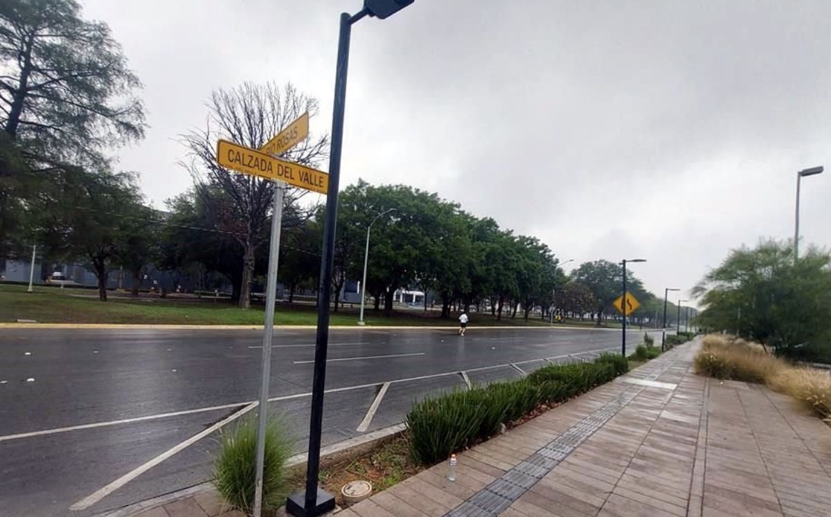 Prevén fracaso en plan estatal de reforestación